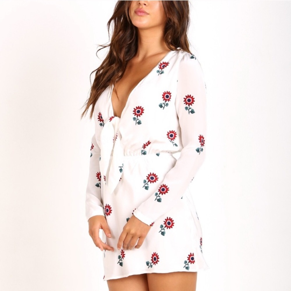 Stone Cold Fox Desire Dress Lolita print 2